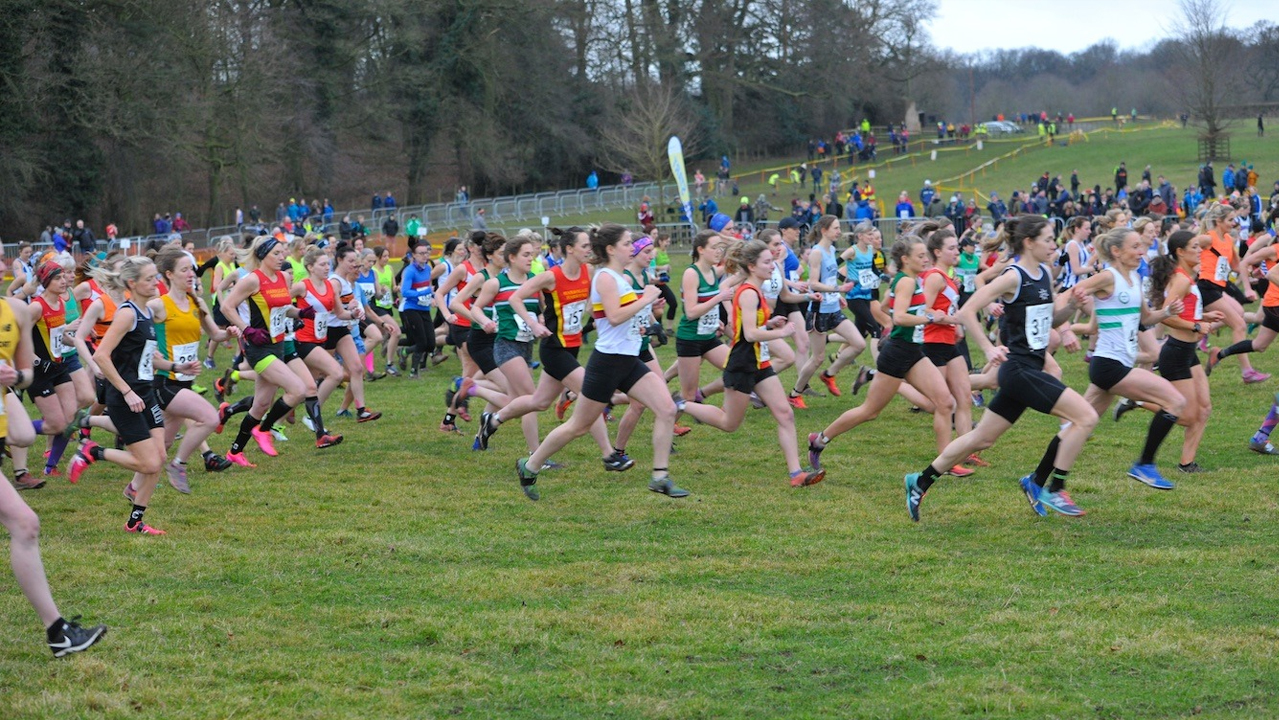 Northern Cross Country Relays